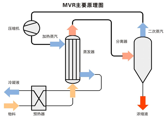 硫酸铵MVR蒸发器
